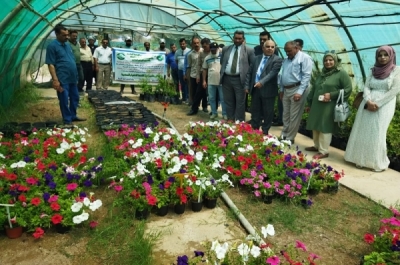 A teacher at the University of Kirkuk lectures in a training course on the propagation and grafting of deciduous and perennial fruits