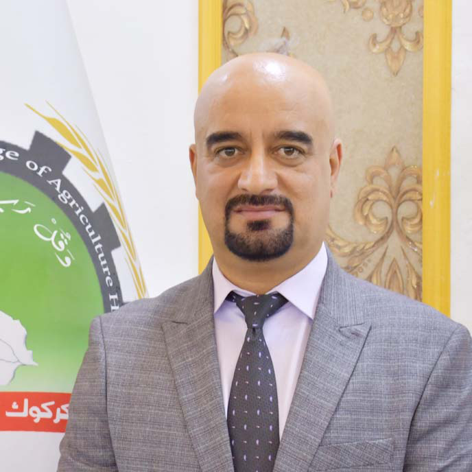 أ.م.د حسين حبيب اسماعيل