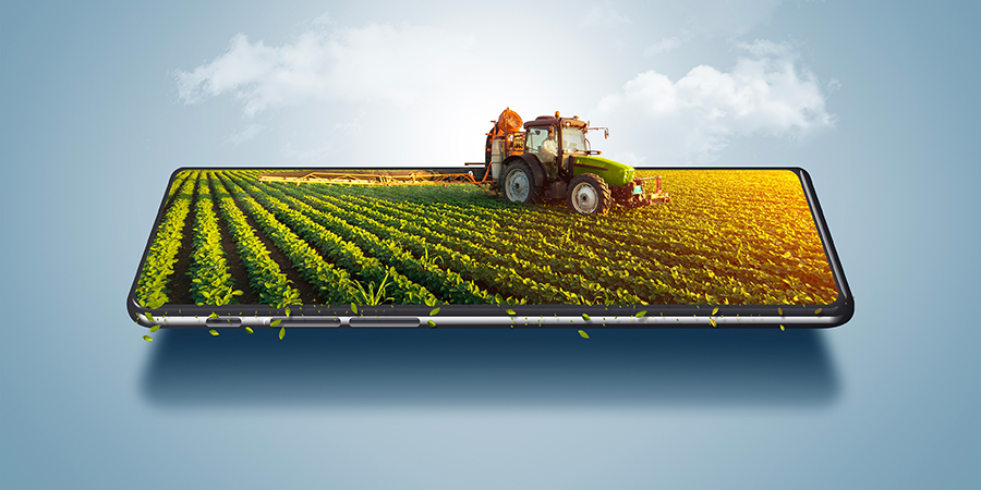 الخدمات المجتمعية