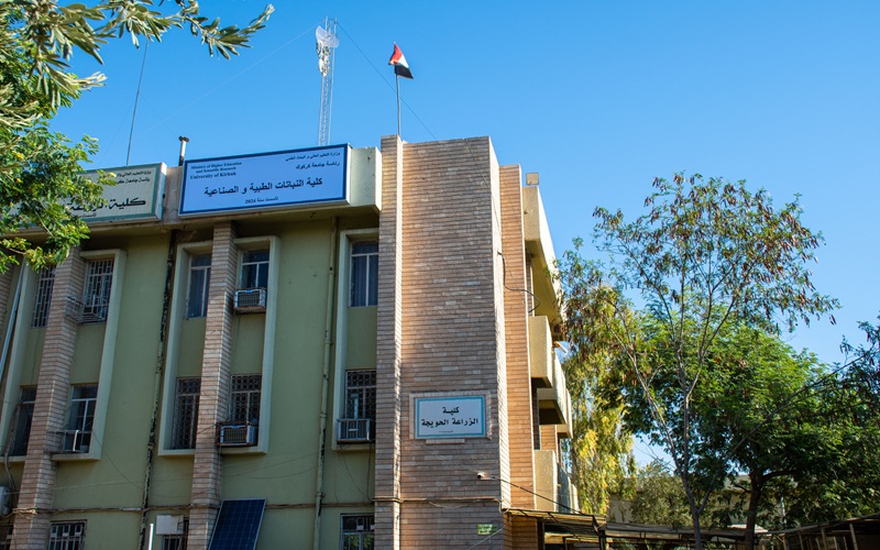 This image for Image Layouts addon