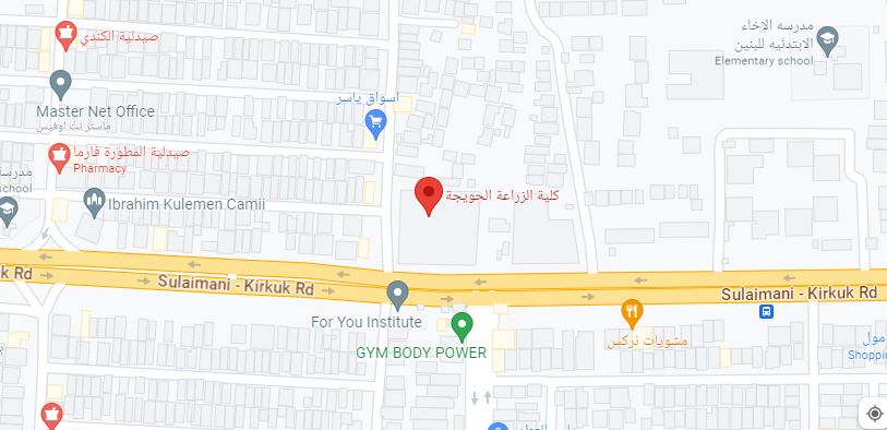 This image for Image Layouts addon