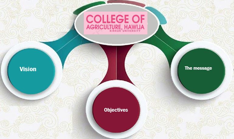 رؤية الكلية