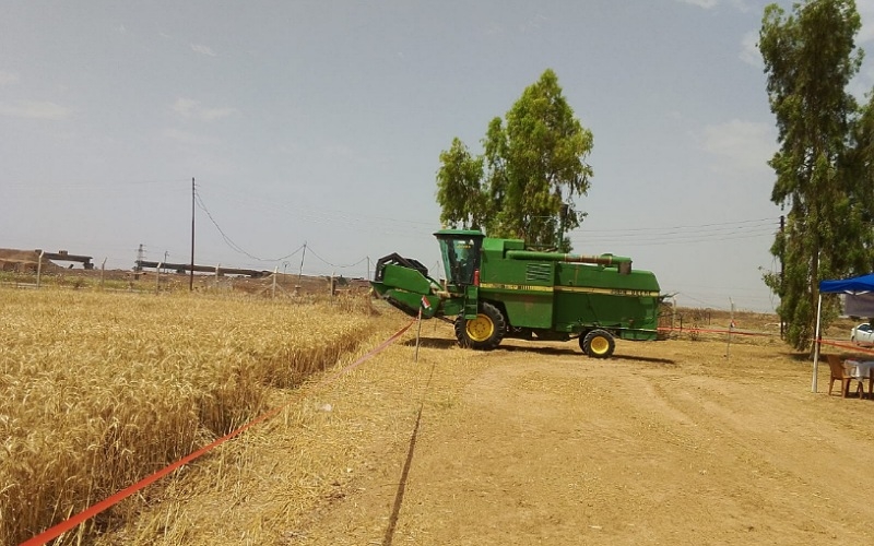 IMG_٢٠٢٤٠٦٠٥_٠٨٥١٢٩_800_x_500_pixel