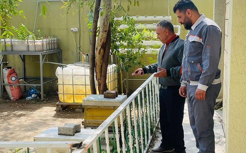 One eye monitors the wheel of knowledge and the management ladder, and the other monitors the services side.