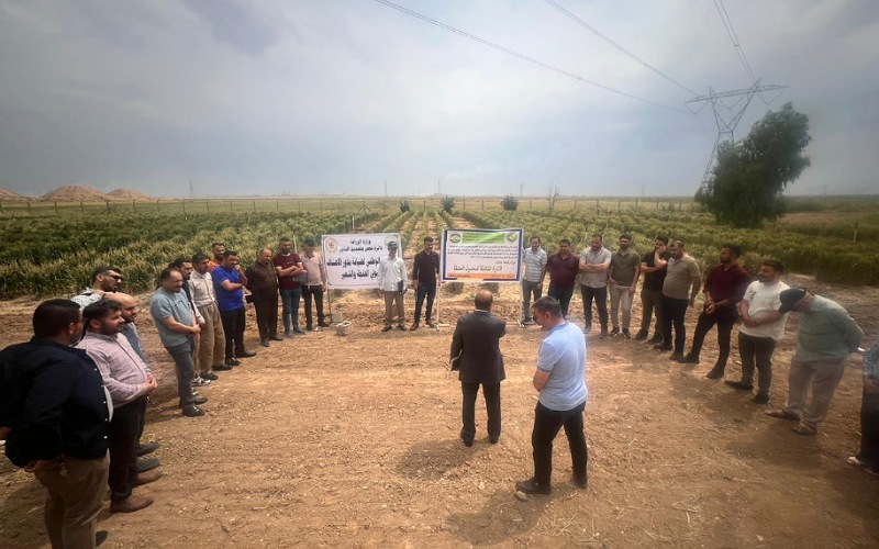  كلية الزراعة/الحويجة تختتم دورة تدريبية ميدانية عن الادارة المتكاملة لمحصول الحنطة