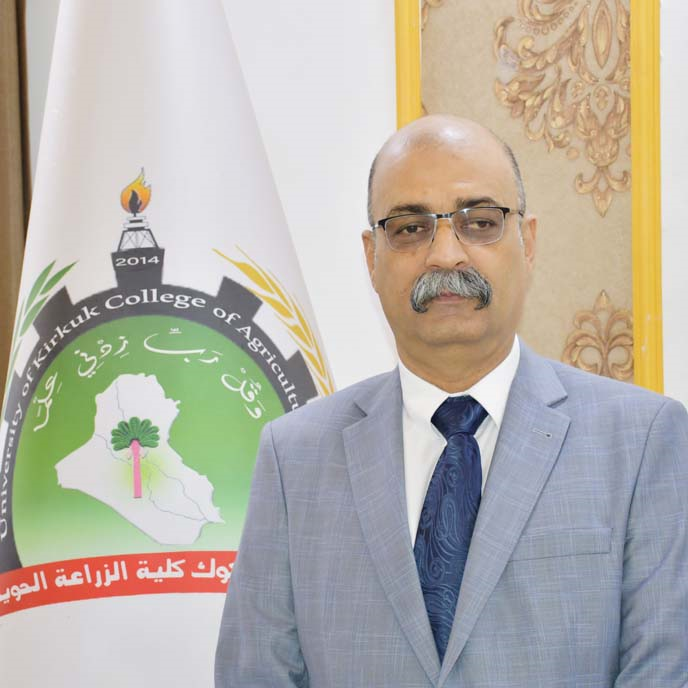 ا.د عامر نجاة نجم الدين كاكةيي