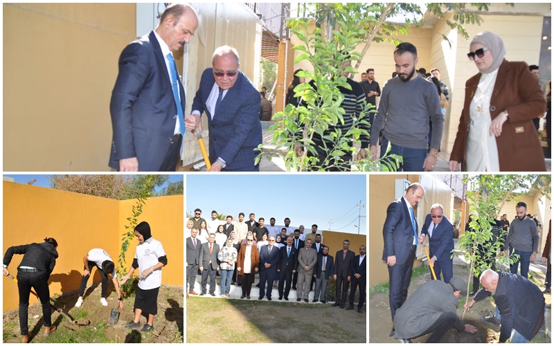 حملة تشجير واسعة لساحات وحدائق كلية الإدارة والاقتصاد