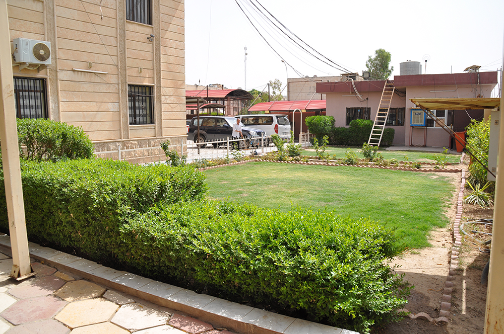 حديقة الكلية 1