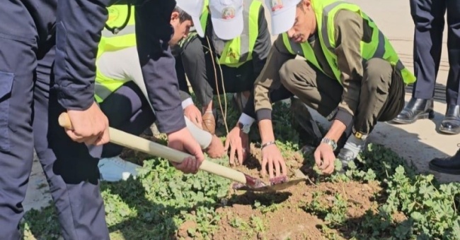 كلية الزراعة جامعة كركوك تستمر في حملتها لتشجير الدوائر الحكومية في محافظة كركوك