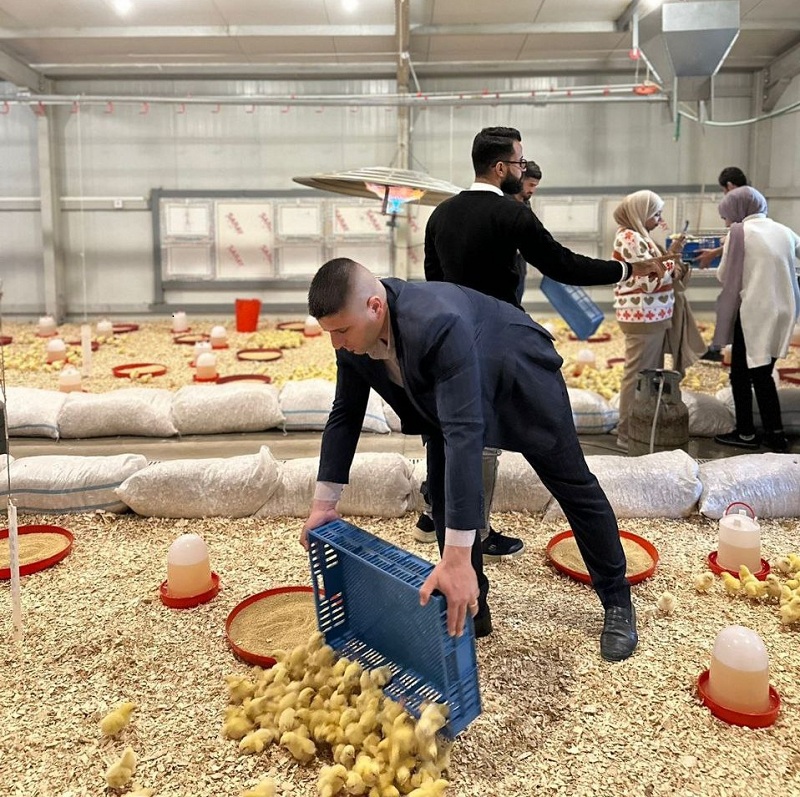 Article image slide 1