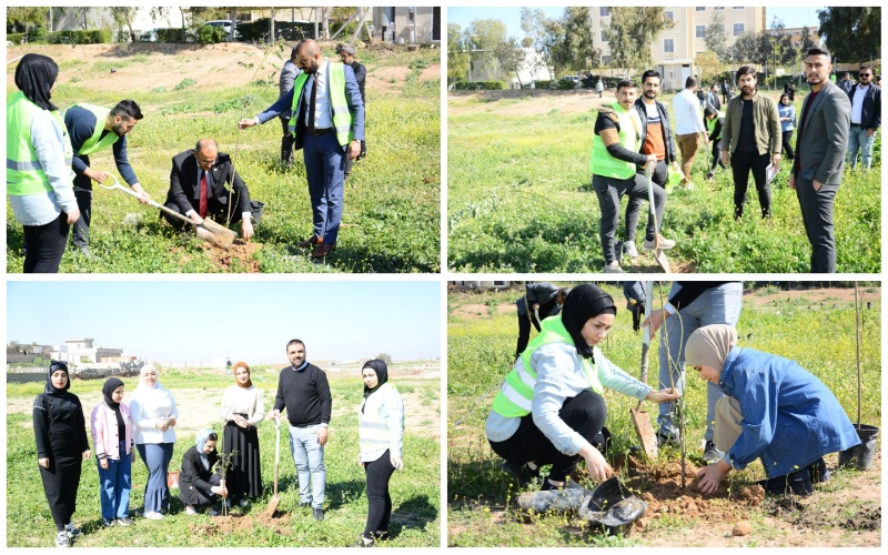 afforestation campaign 2