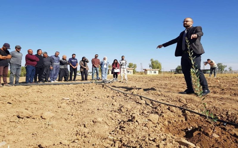 Article image slide 1