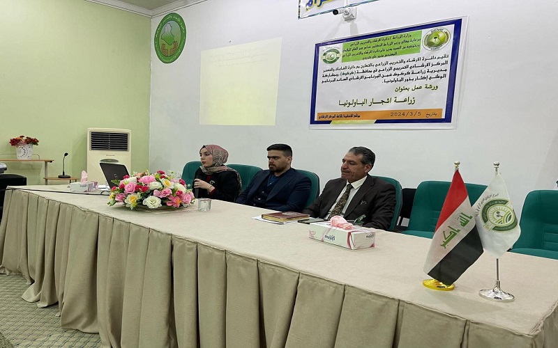 Paulownia workshop 2