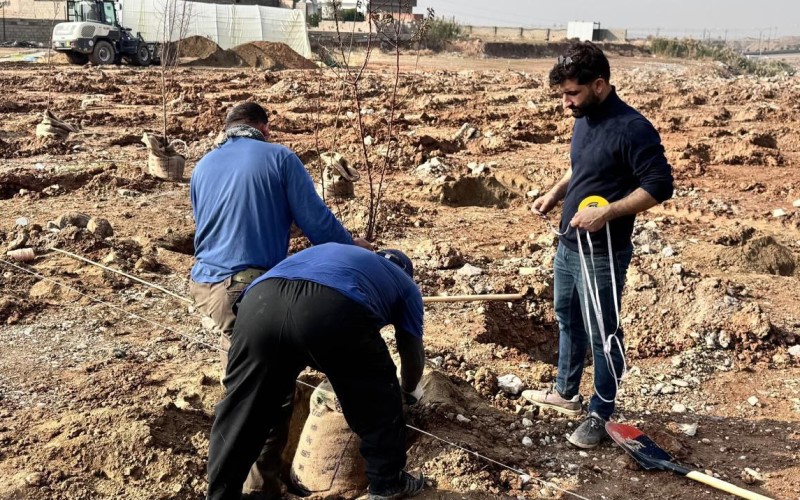 كلية الزراعة تباشر بإنشاء بستان الفاكهة النفضية ذات أصول وراثية محلية