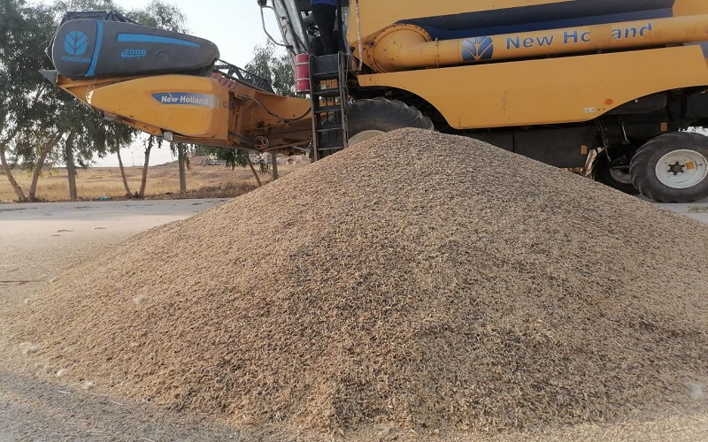 students production 2