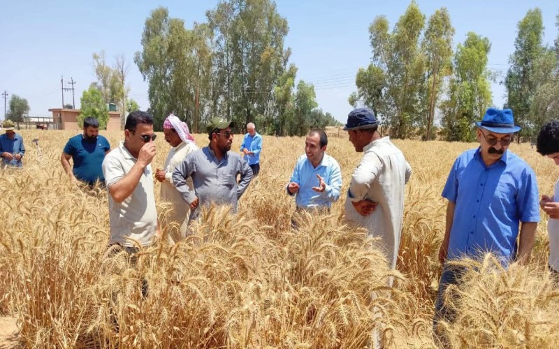 Dr.Abbas extension 2