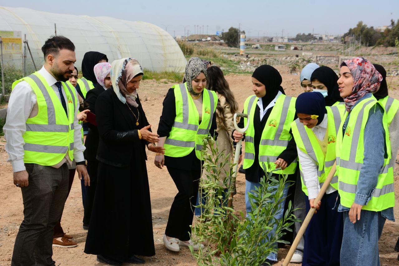 treeplanting Activities 4