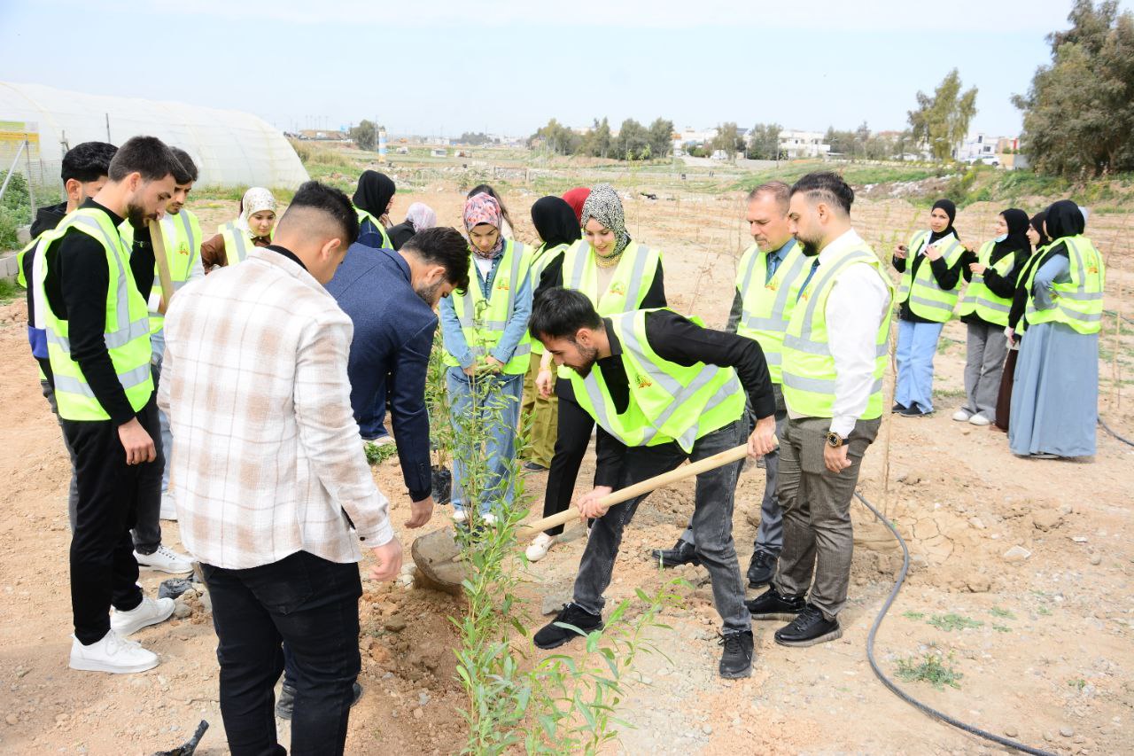 treeplanting Activities 5