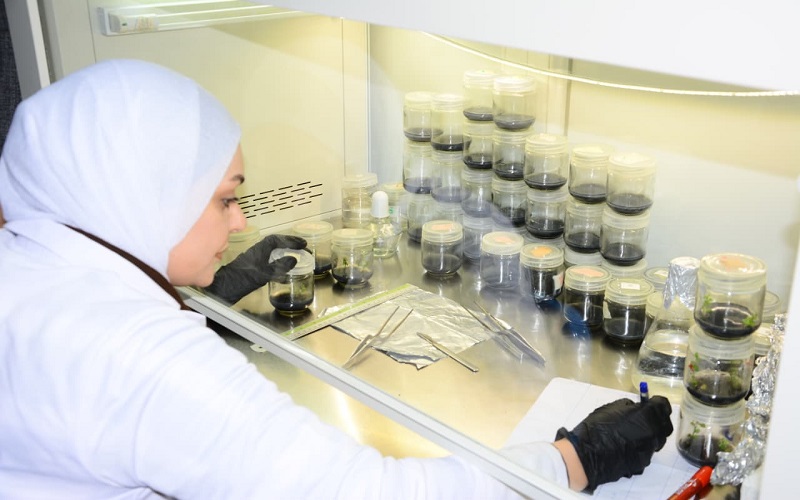 جامعة كركوك تتابع جولتها التدقيقة الشاملة لمختبرات كلياتها وفق معايير الجودة الوطنية 