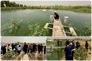 زيارة علمية ميدانية لطلبة كلية الطب البيطري تطبيقاً لمناهج التدريب الصيفي