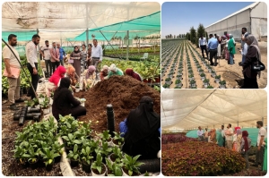 تطبيقا لمنهاج التدريب الصيفي.. جامعة كركوم تنظم لطلبتها زيارات ميدانية الى مشاريع زراعية