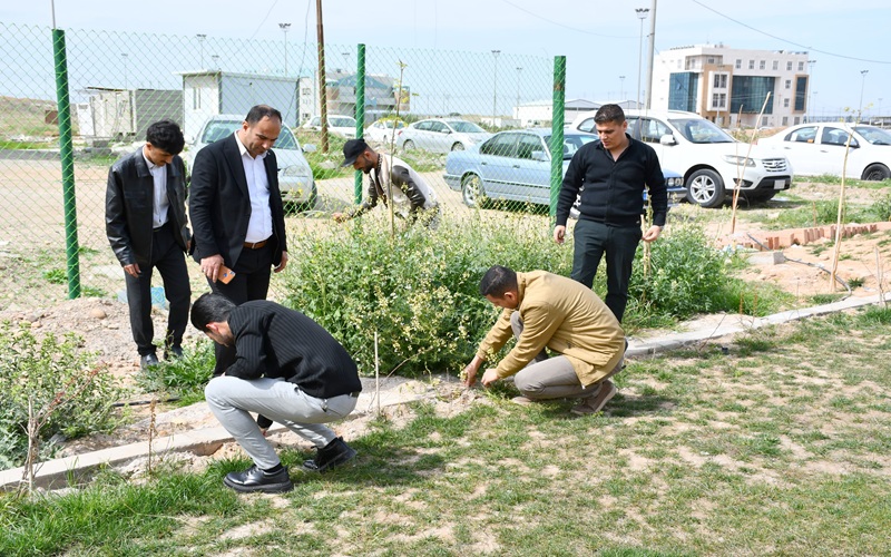 كلية التربية الاساسية في ...