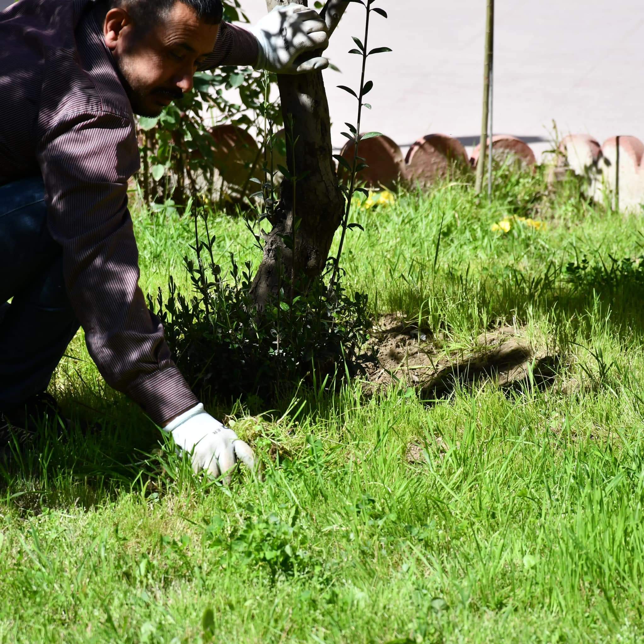 FB IMG 1711045125338