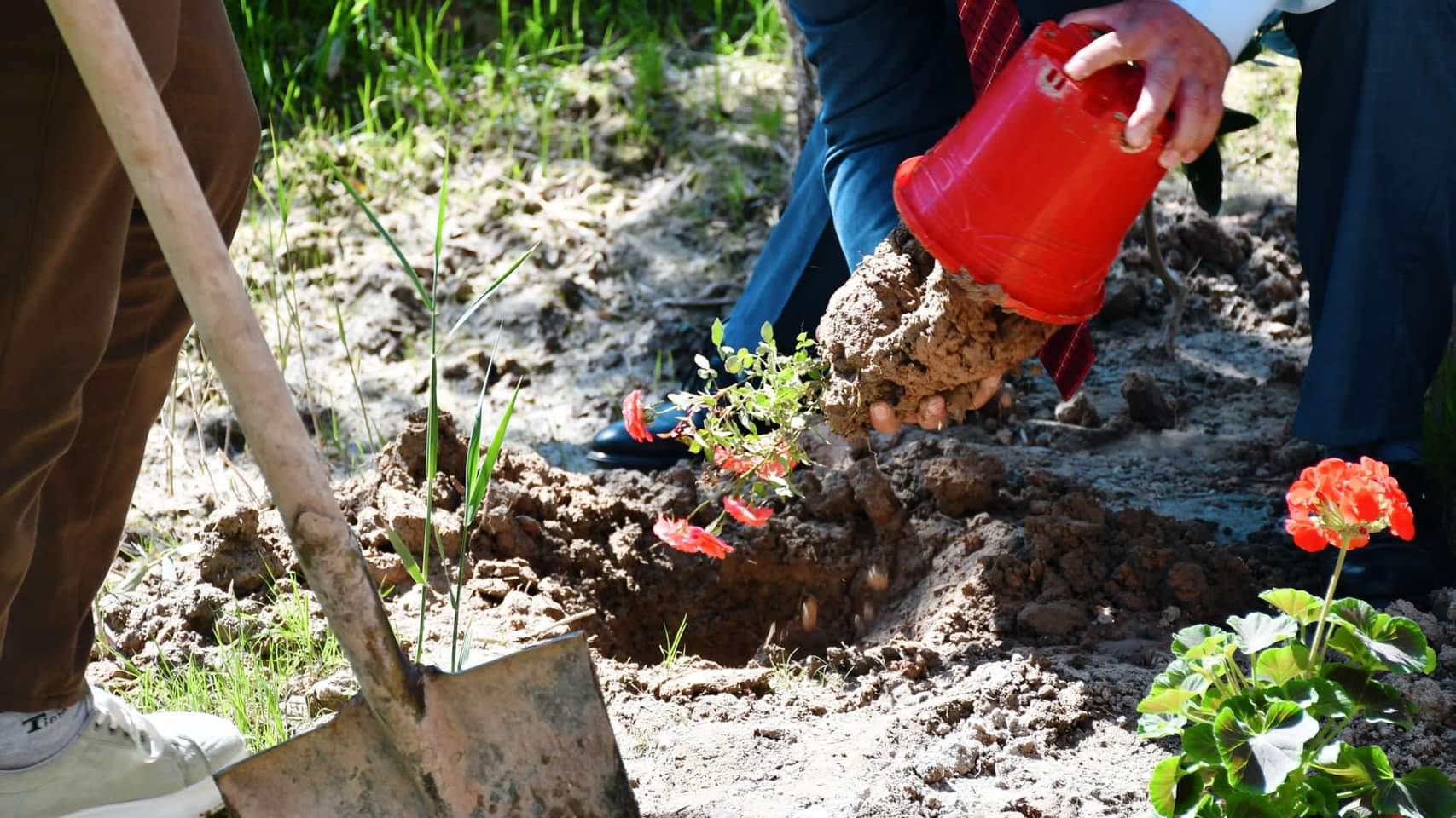 فعاليات كلية التربية للعلوم الانسانية بمناسبة يوم التشجير الوطني