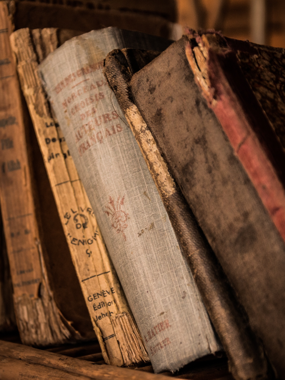 فروع الكلية