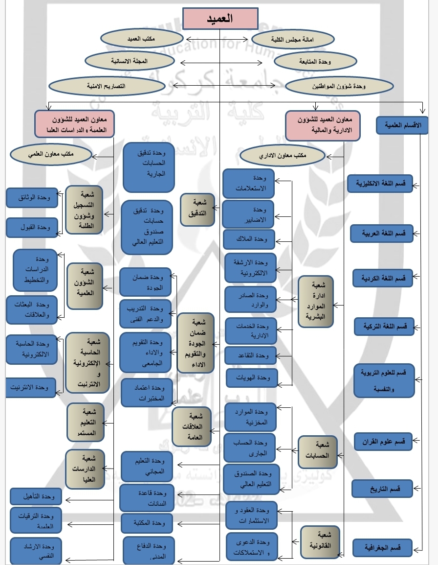 Organizational Structure