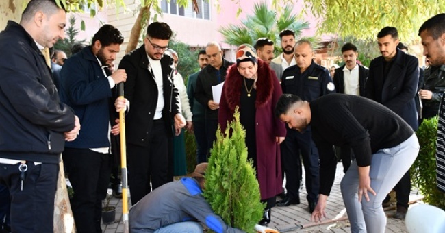 College of Engineering Launches Extensive Tree-Planting Campaign to Enhance Campus Environment
