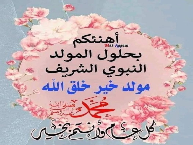 378391225 810905547707673 4328327201786761355 n1