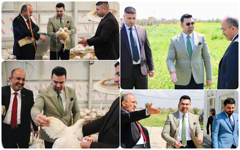 The President of Kirkuk University inspects development projects at the research station and orders the distribution of chicken to university staff at subsidized prices.