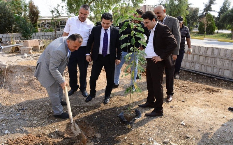 حملة تشجير في كلية القانون ...