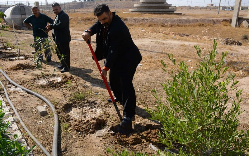 كلية القانون والعلوم السياسية تنظم حملة تشجير في أروقتها