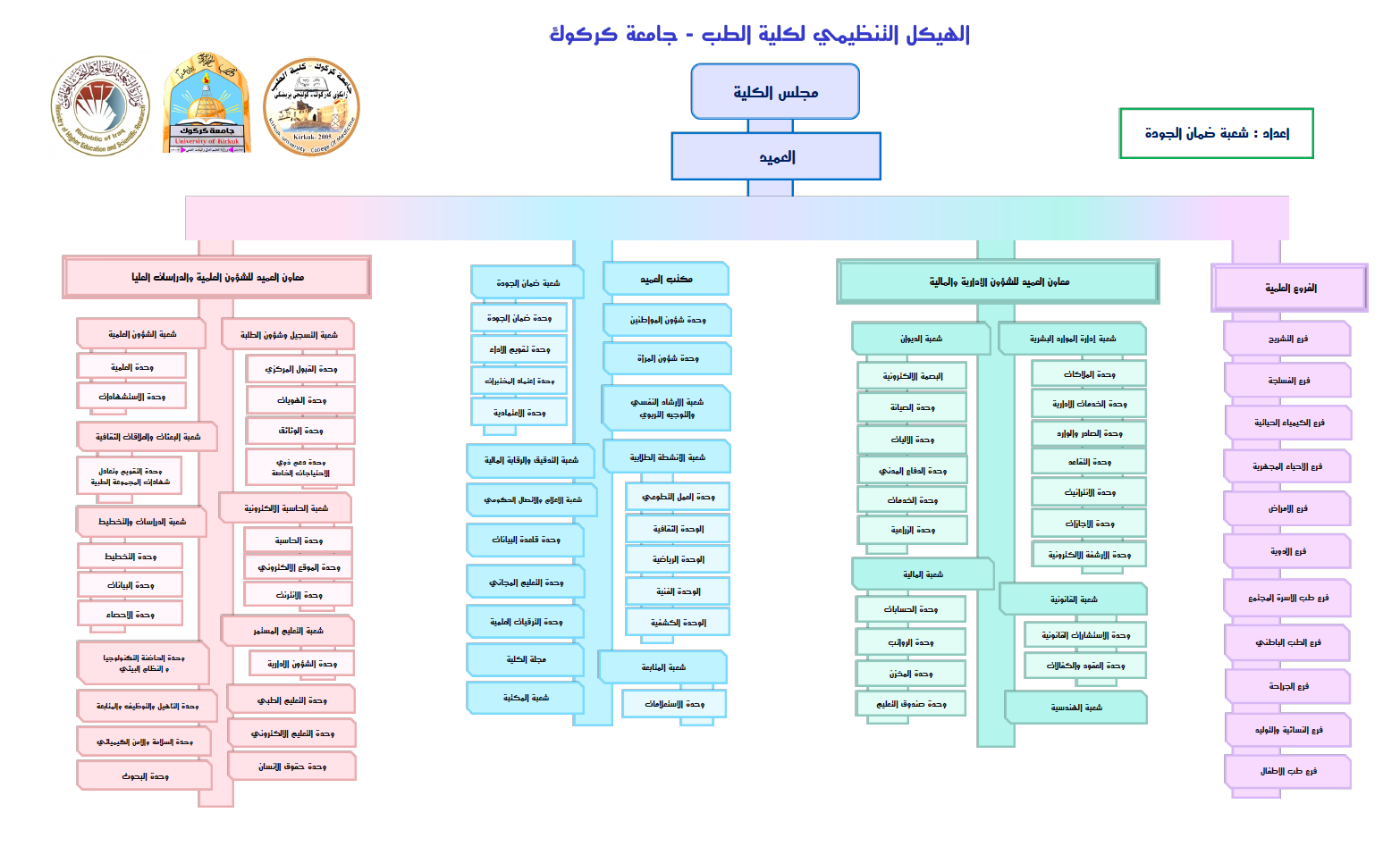 الهيكل التنظيمي