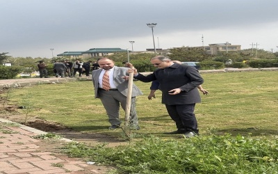 كلية التربية للعلوم الصرفة تنظم حملة تشجير داخل اروقة الكلية ومحيطها