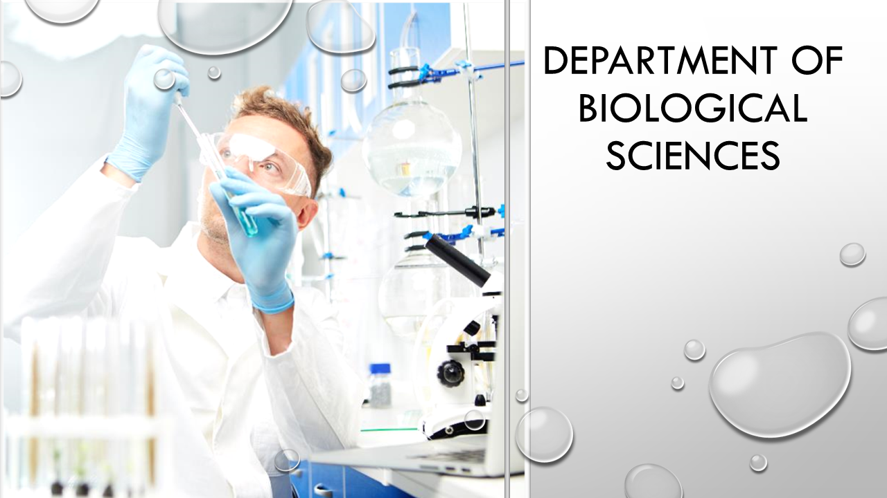 This image for Image Layouts addon