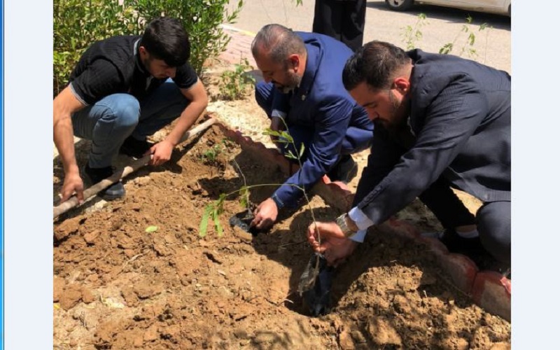 كلية العلوم / جامعة كركوك تنظم حملة تشجير لحدائقها