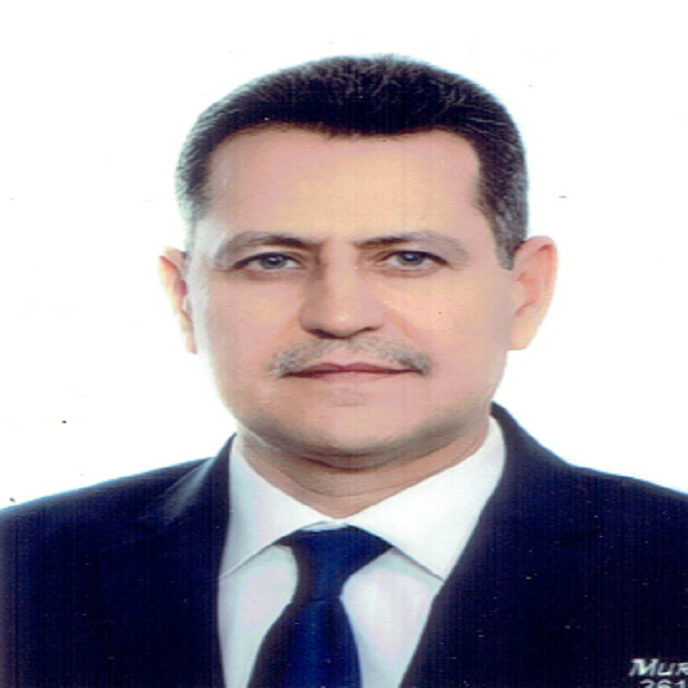 أ.د علي حسين تقي