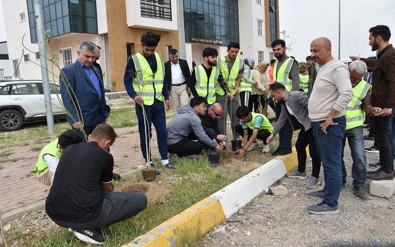 كلية التربية البدنية وعلوم الرياضة تنظم حملة تشجير 