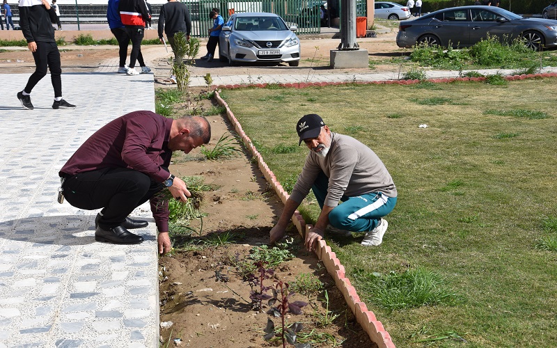 كلية التربية البدنية وعلوم الرياضة تنظم حملة تشجير واسعة لحدائقها ومتنزهاتها 