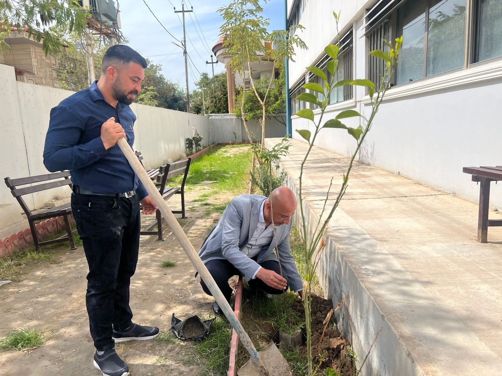 مبادرة التشجير