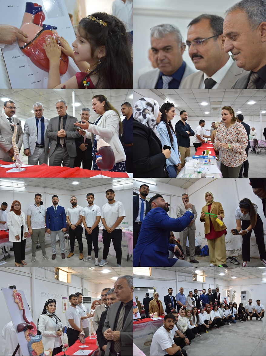 440750551 882146717260430 4874269356470008089 n tile