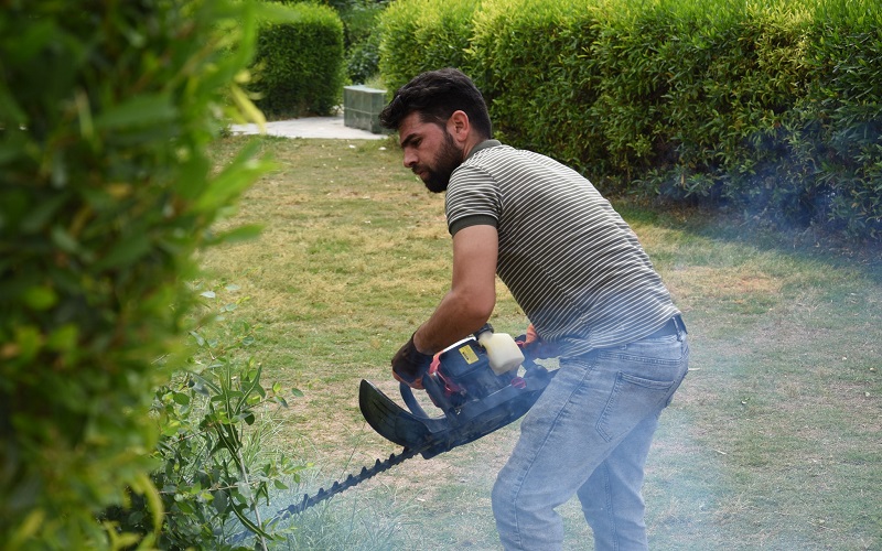 كلية التربية البدنية وعلوم الرياضة تنظم حملة ادامة للحدائق والمتنزهات 