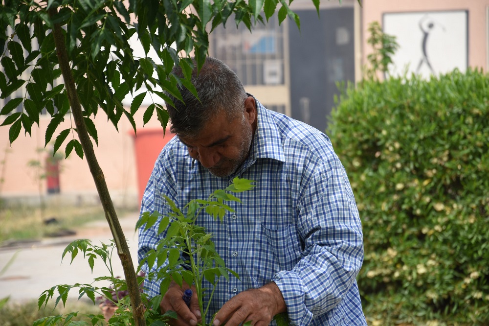 440947324 884336547041447 7079041016218398273 n