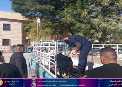 المستوصف البيطري التعليمي يستقبل حالة مرضية .