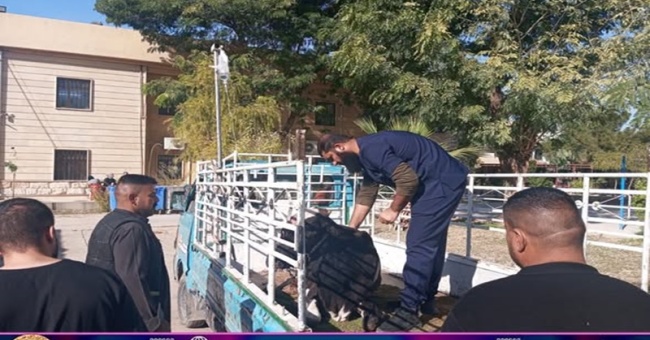 The veterinary teaching clinic receives a patient.