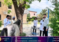 كلية البيطري تستقبل حالة مرضية .