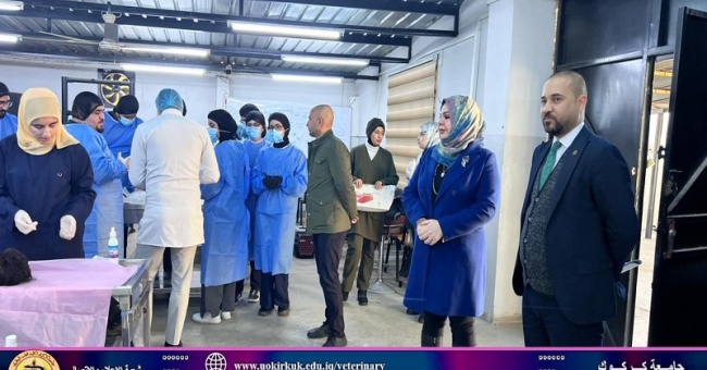 طلبة المرحلة الخامسة يجرون امتحان الجراحة العملي